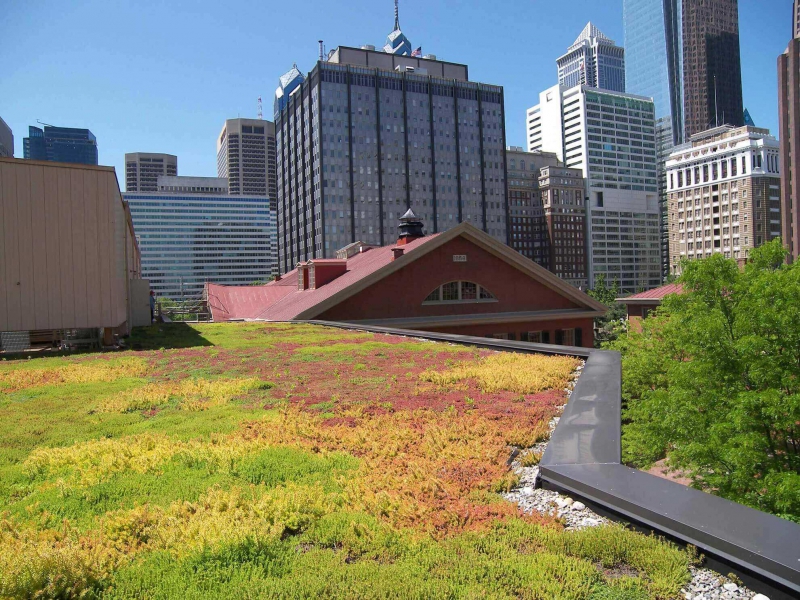 paysagiste-CASTAGNIERS-min_green-roof-portfolio-4